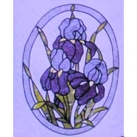 Bearded IrisComplete KitWithout Border & Binding - Product Image
