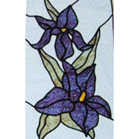 Double IrisComplete Kit - Product Image