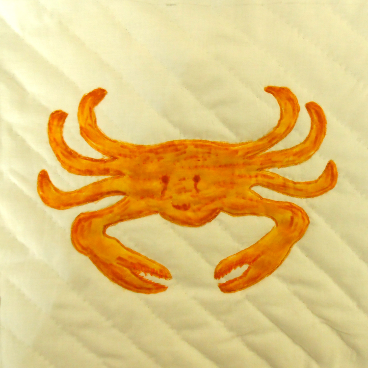 Green Valley AquariumCrusty CrabComplete Kit - Product Image